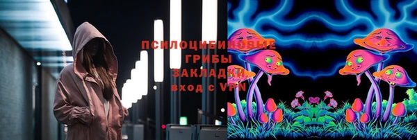 дживик Протвино