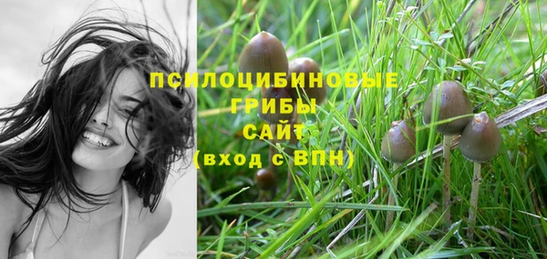 mdma Приозерск