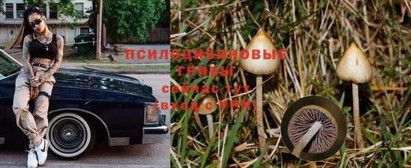 дживик Протвино