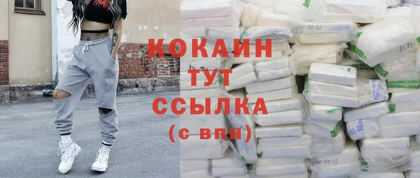 дживик Протвино